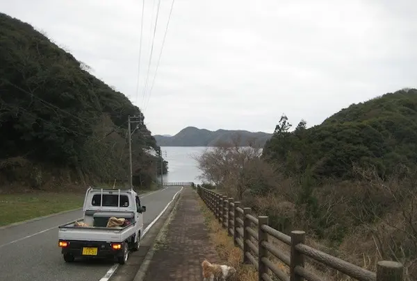 対馬ふるさと伝承館の写真・動画_image_136381