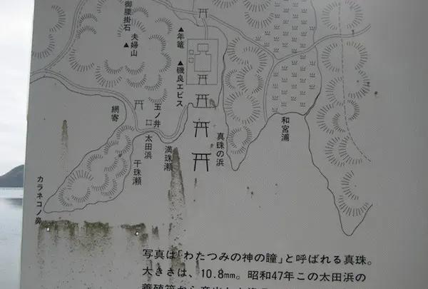 対馬ふるさと伝承館の写真・動画_image_136383