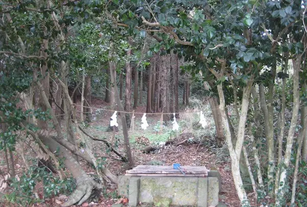 対馬ふるさと伝承館の写真・動画_image_136387