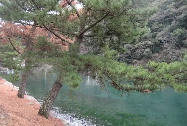 対馬ふるさと伝承館の写真・動画_image_136390
