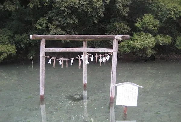 対馬ふるさと伝承館の写真・動画_image_136397
