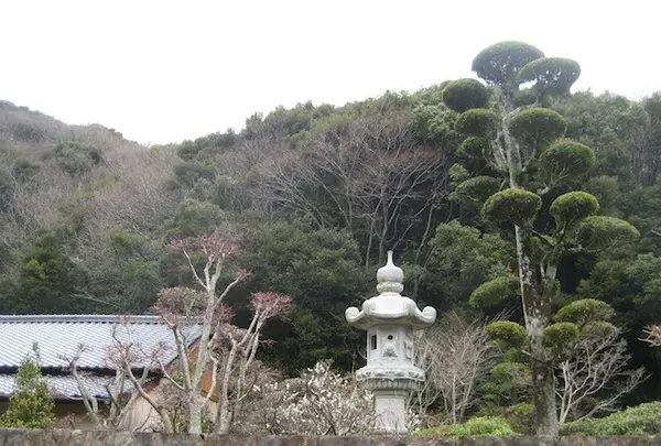 対馬ふるさと伝承館の写真・動画_image_136409