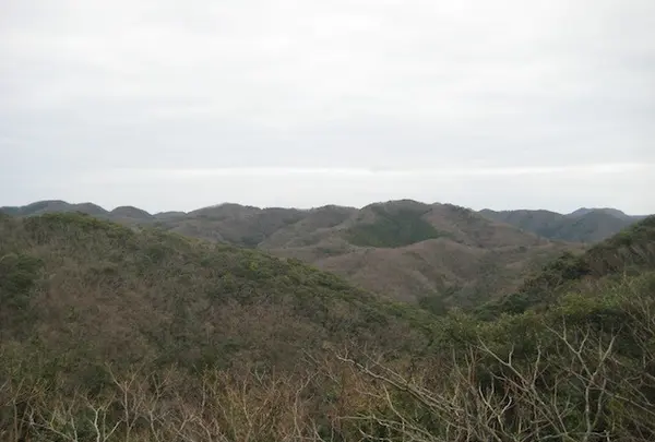 対馬ふるさと伝承館の写真・動画_image_136410