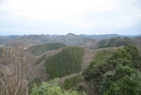 対馬ふるさと伝承館の写真・動画_image_136414