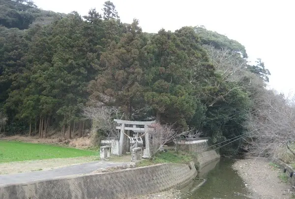 対馬ふるさと伝承館の写真・動画_image_136418