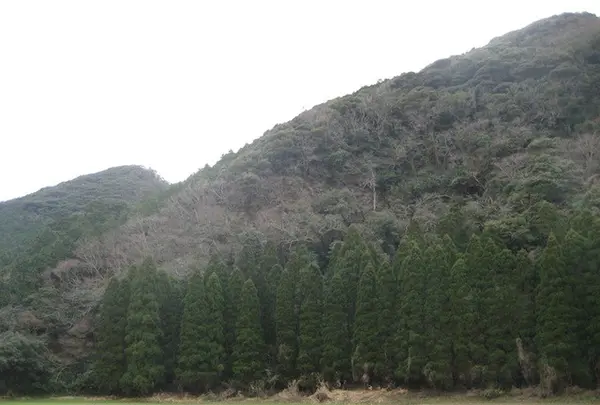 対馬ふるさと伝承館の写真・動画_image_136419