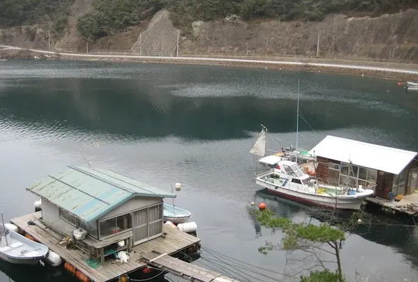 対馬ふるさと伝承館の写真・動画_image_136431