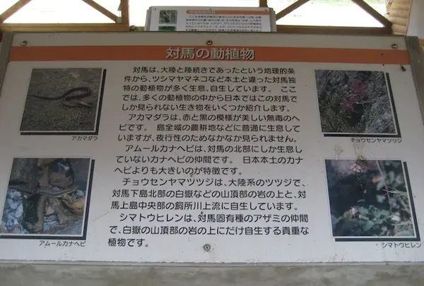 対馬ふるさと伝承館の写真・動画_image_136436