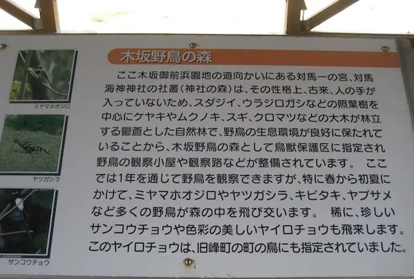 対馬ふるさと伝承館の写真・動画_image_136437