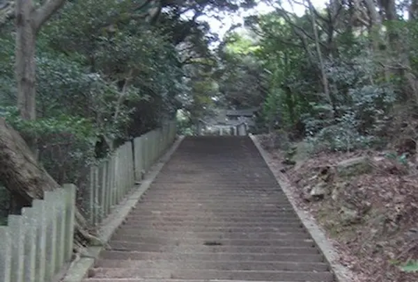 対馬ふるさと伝承館の写真・動画_image_136446