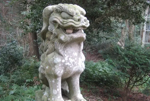 対馬ふるさと伝承館の写真・動画_image_136451