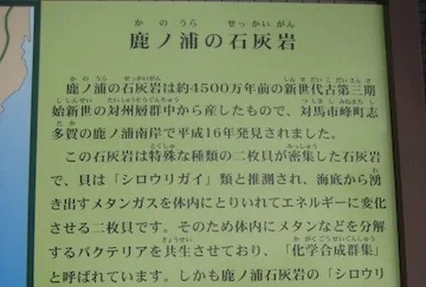 対馬ふるさと伝承館の写真・動画_image_136457