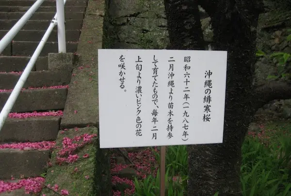 長崎市の写真・動画_image_136477