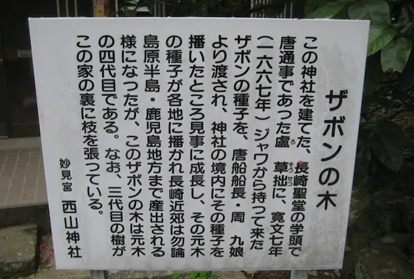 長崎市の写真・動画_image_136478