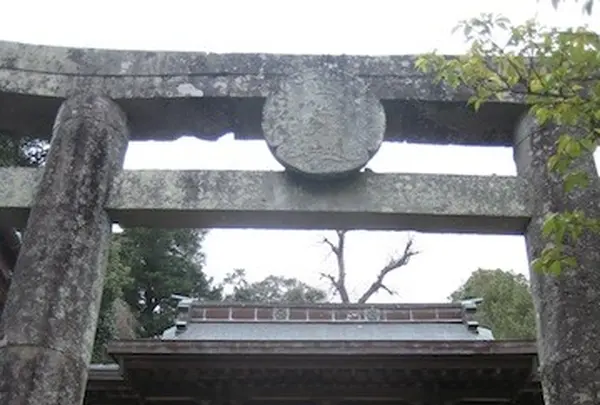 長崎市の写真・動画_image_136479