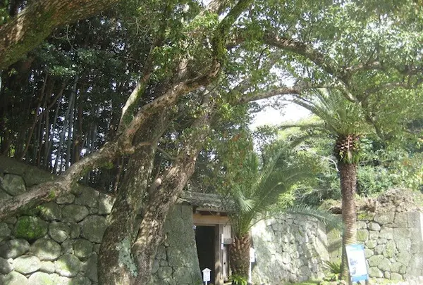 五島列島の写真・動画_image_136512