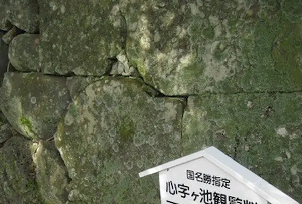 五島列島の写真・動画_image_136513