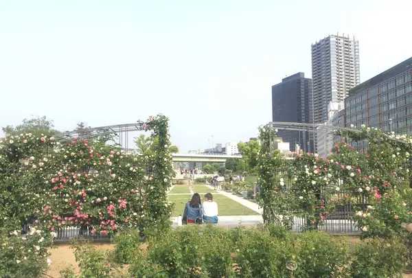 中之島公園の写真・動画_image_136605