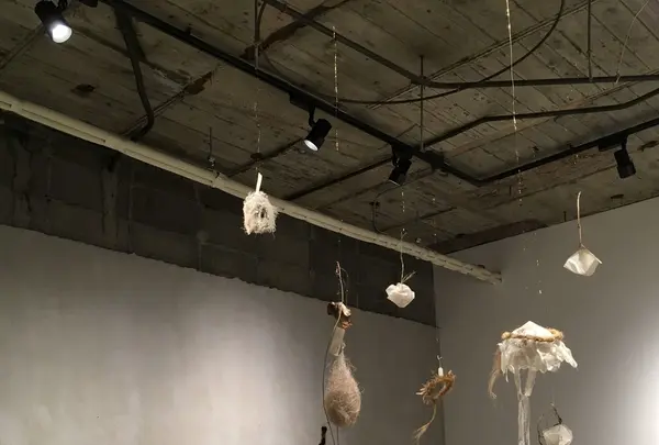 haseの写真・動画_image_136626