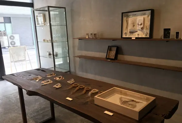 haseの写真・動画_image_136628