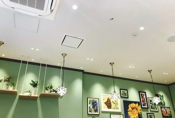 PHYTO CAFE by Amwayの写真・動画_image_136820