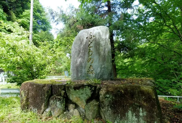 明王山 展望台の写真・動画_image_136853