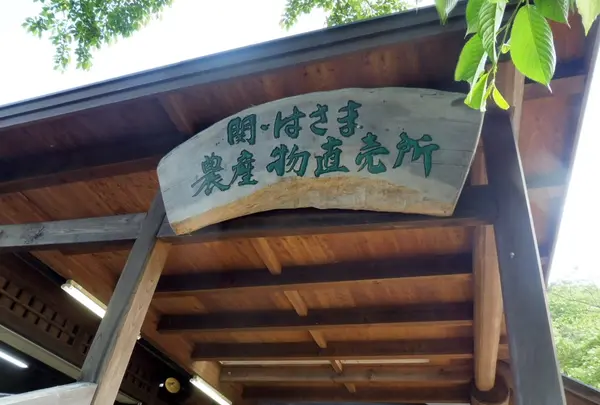 明王山 展望台の写真・動画_image_136854