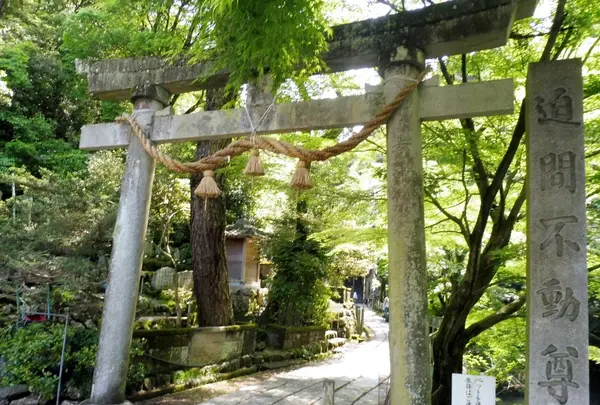 明王山 展望台の写真・動画_image_136859