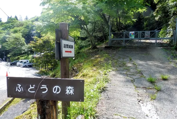 明王山 展望台の写真・動画_image_136864