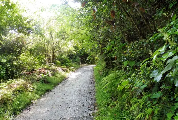 明王山 展望台の写真・動画_image_136865