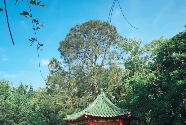 台北植物園の写真・動画_image_137026