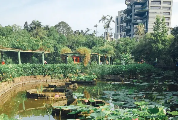 台北植物園の写真・動画_image_137027