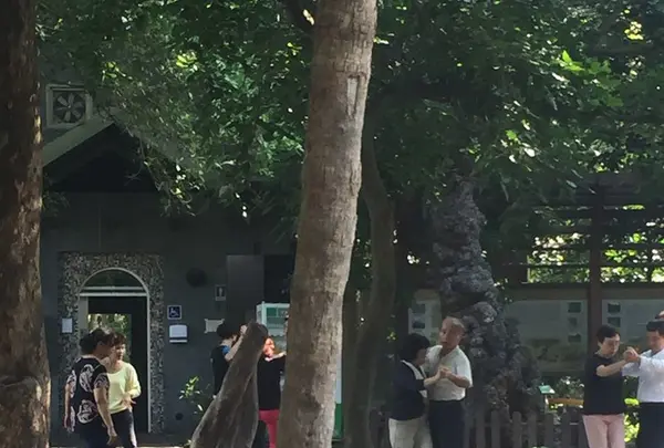 台北植物園の写真・動画_image_137028