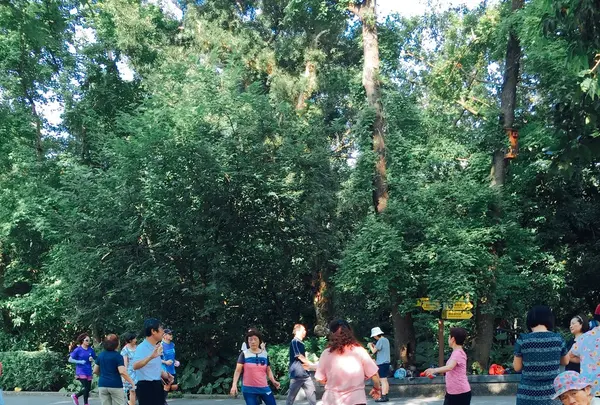 台北植物園の写真・動画_image_137029