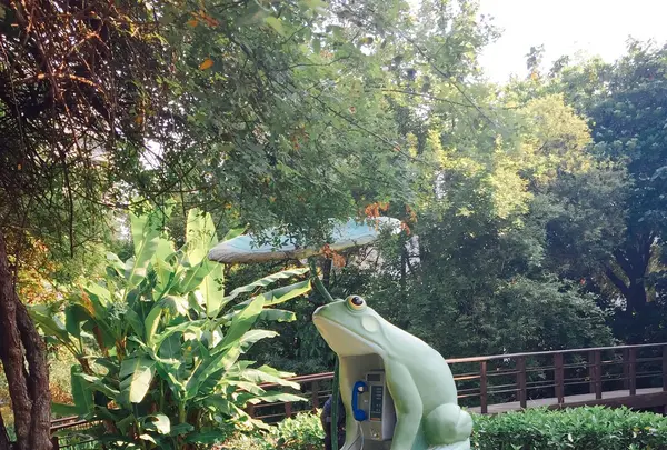 台北植物園の写真・動画_image_137030