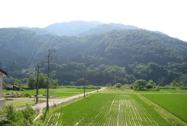 白川郷合掌造りの写真・動画_image_137077