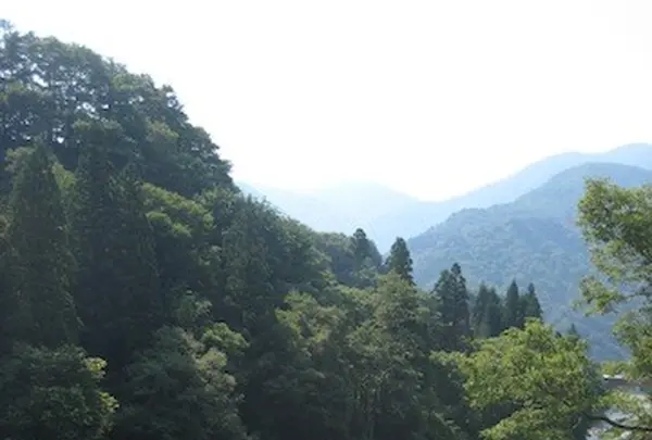 白川郷合掌造りの写真・動画_image_137081
