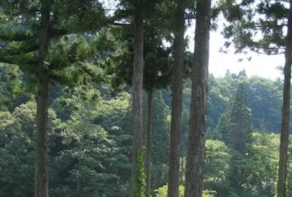 白川郷合掌造りの写真・動画_image_137082