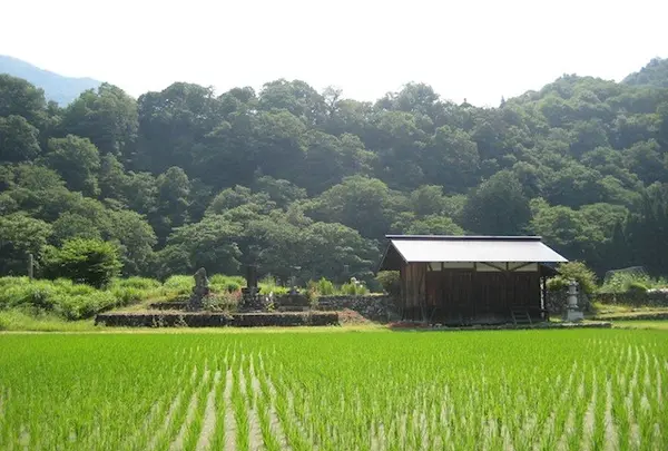 白川郷合掌造りの写真・動画_image_137090