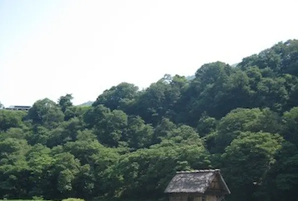 白川郷合掌造りの写真・動画_image_137101
