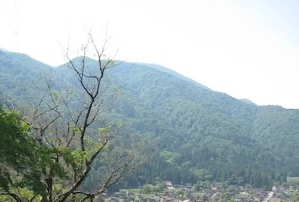 白川郷合掌造りの写真・動画_image_137111
