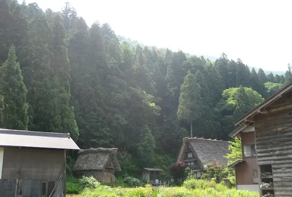 白川郷合掌造りの写真・動画_image_137115