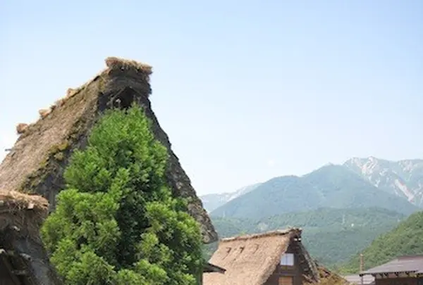 白川郷合掌造りの写真・動画_image_137126
