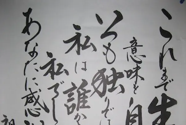 白川郷合掌造りの写真・動画_image_137128