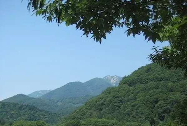 白川郷合掌造りの写真・動画_image_137149