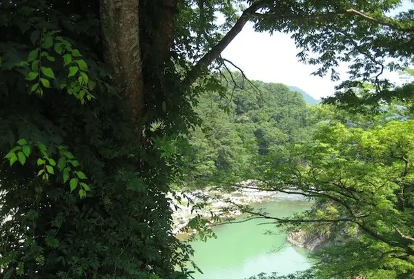 白川郷合掌造りの写真・動画_image_137156