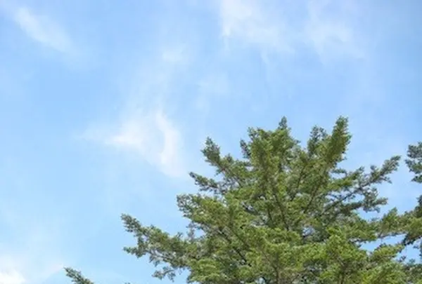 飛騨大鍾乳洞の写真・動画_image_137160
