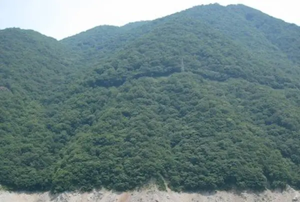 御母衣電力館の写真・動画_image_137217