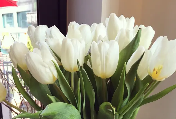 플로르떼 Florte flower cafeの写真・動画_image_137310