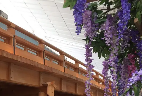 羽田空港（東京国際空港）の写真・動画_image_137386